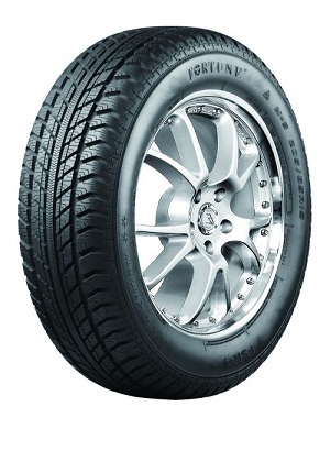 185/65R14 FORTUNE FSR9 86T MS (ZIMA)