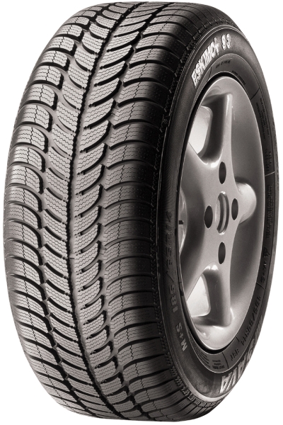 165/70R13 SAVA ESKIMO S3+ 79T MS
