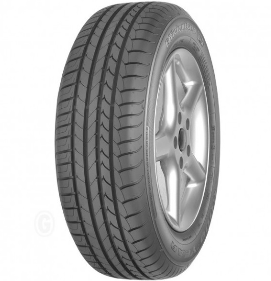 245/50R18 GOODYEAR EFFICIENTGRIP 100W MOE ROF FP