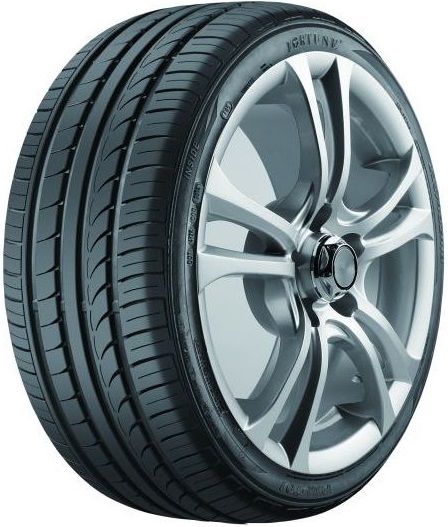 225/45R19 FORTUNE FSR701 96Y (LJETO)